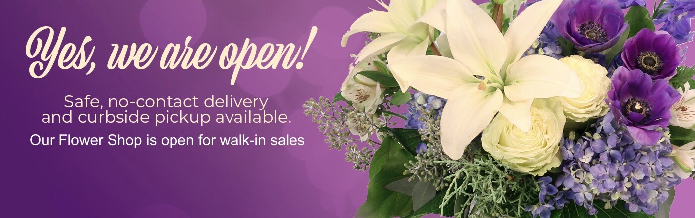 Flower Delivery to Winnipeg by Hi-Way Florists, Ltd